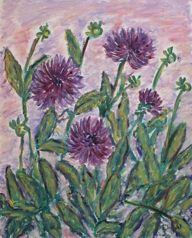 Dahlias violets