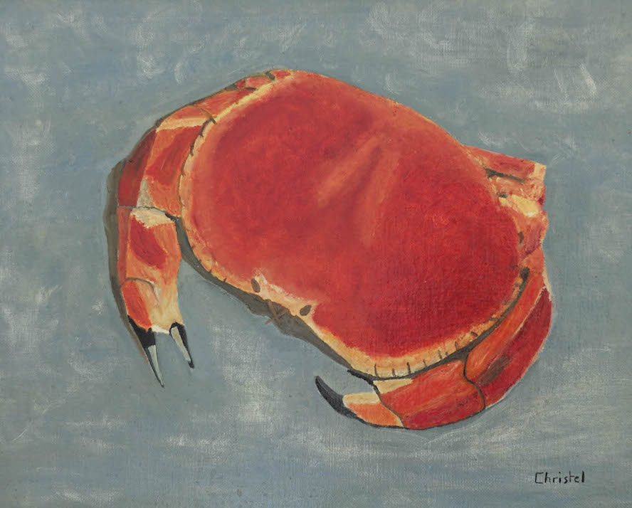 Un crabe dormeur